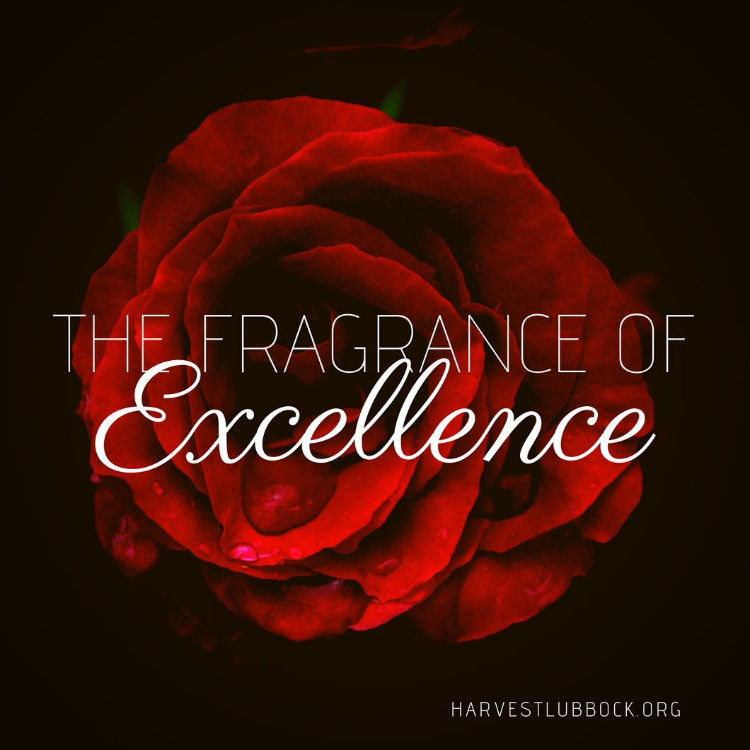 The Fragrance of Excellence - USB